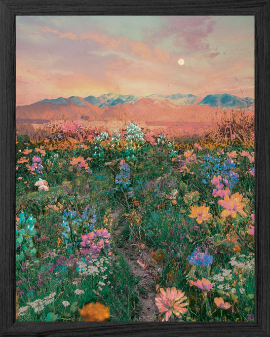 Neon Fields Print